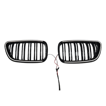 LED Illuminated Double-Slat Front Grille for BMW 2 Series F22
