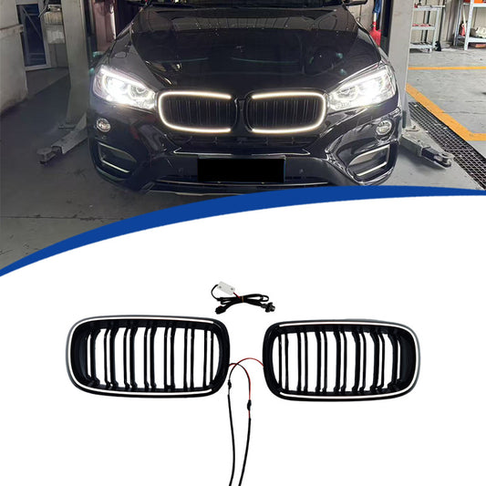 LED Illuminated Double-Slat Grille for BMW X5 F15 / BMW X6