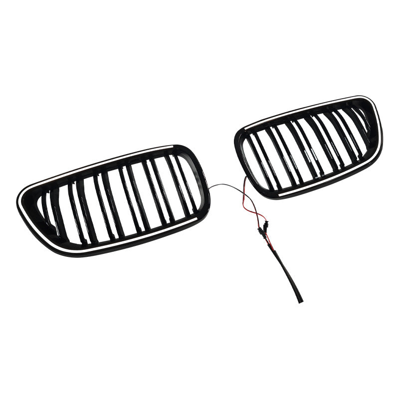 LED Illuminated Double-Slat Front Grille for BMW 2 Series F22